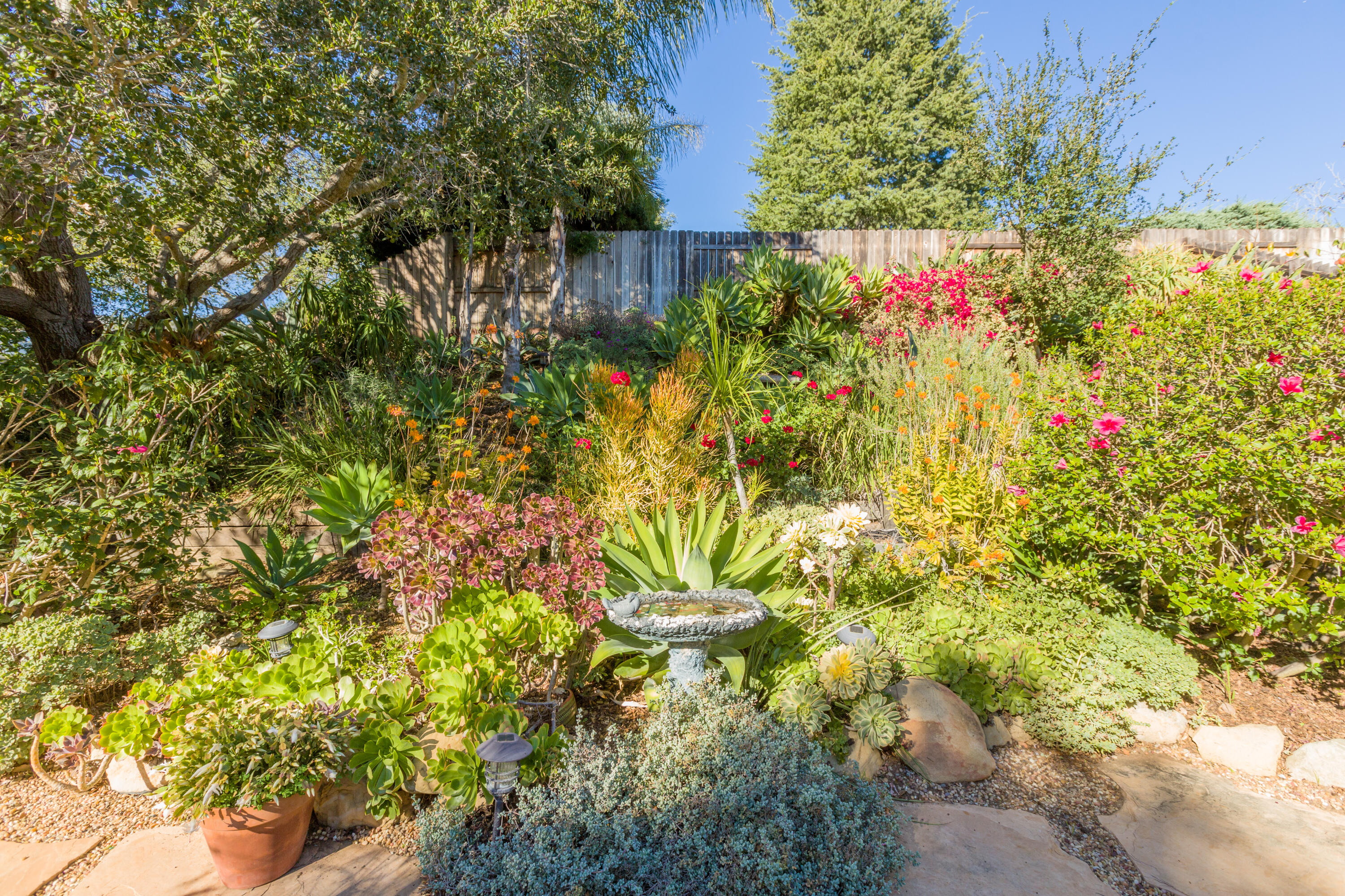 5872 Stow Canyon Road Goleta, CA 93117 - Photo 23 of 29 Backyard