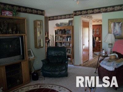 710 Jenny Ridge Road Carrier Mills, IL 62917 - Photo 8 of 9 Gallery Image 8