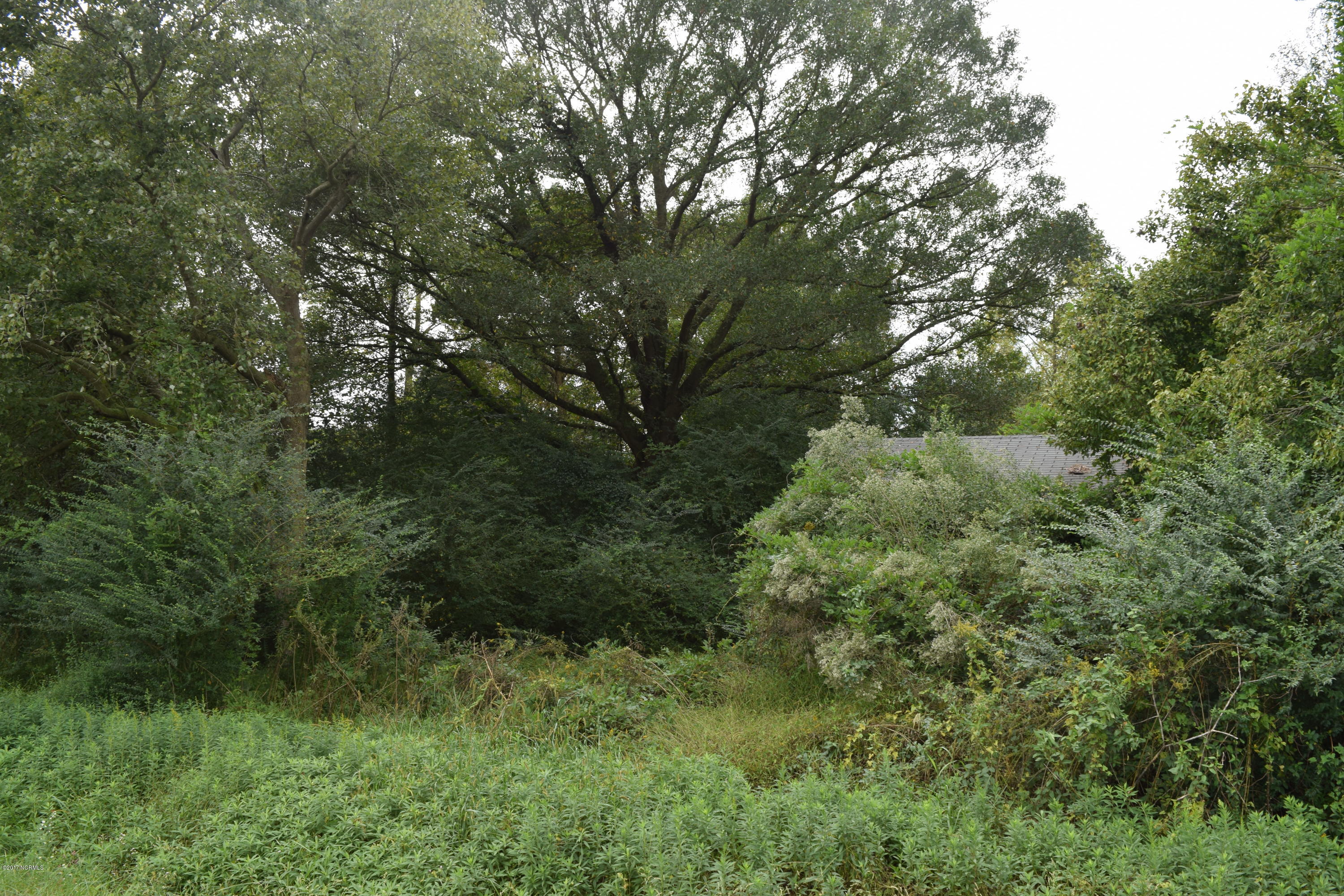 206 Angola Bay Road Wallace, NC 28466 - Photo 1 of 1 Country Acreage