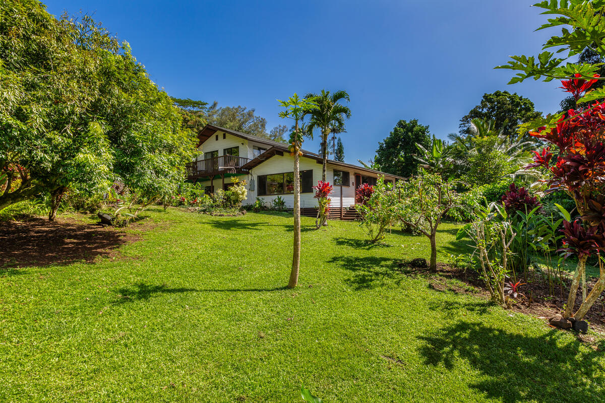 4867 Wainiha Powerhouse Road Hanalei, HI 96714 - Photo 1 of 26 a view of outdoor space and yard