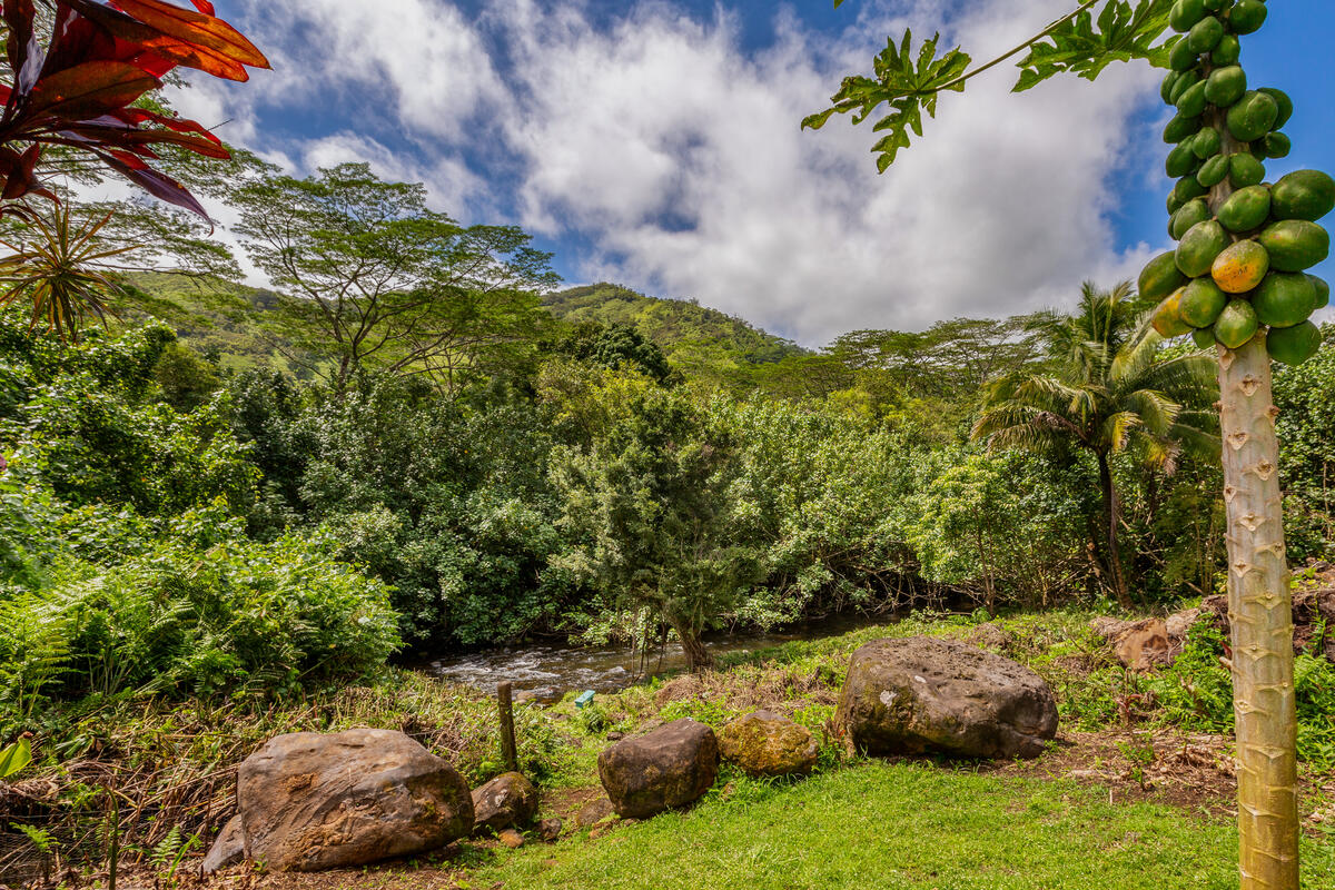 4867 Wainiha Powerhouse Road Hanalei, HI 96714 - Photo 3 of 26 a view of lake with green space