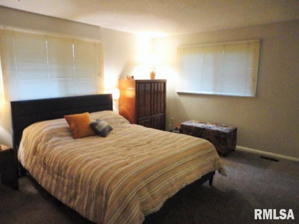 3763 Delay Road Pawnee, IL 62558 - Photo 13 of 41