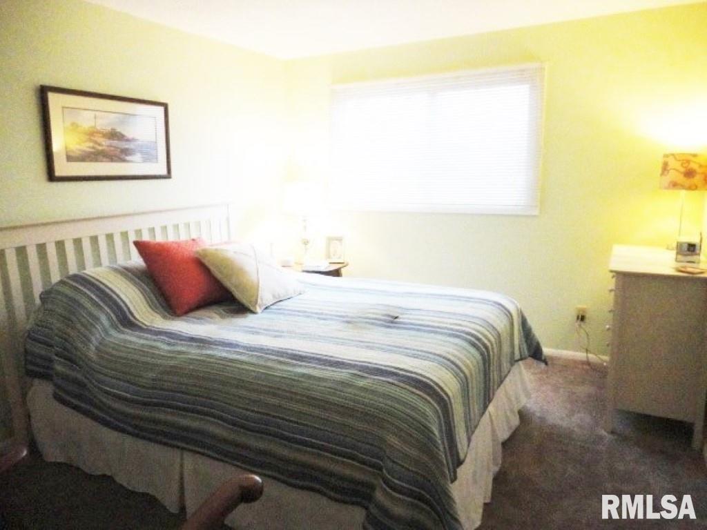 3763 Delay Road Pawnee, IL 62558 - Photo 16 of 41