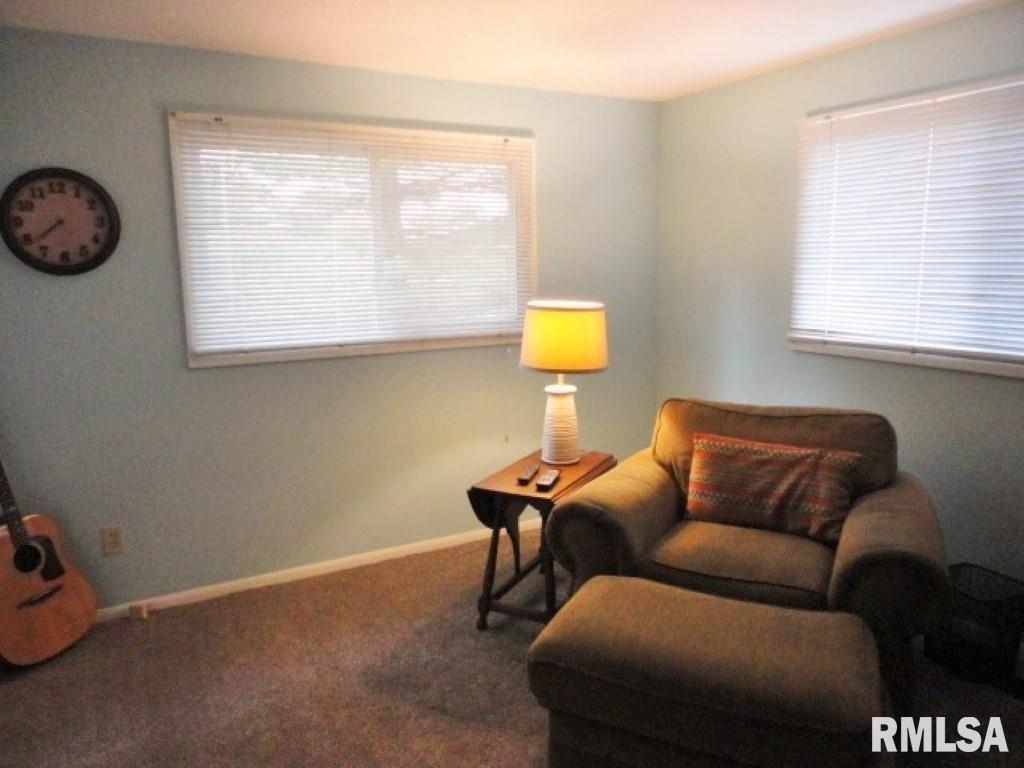 3763 Delay Road Pawnee, IL 62558 - Photo 18 of 41