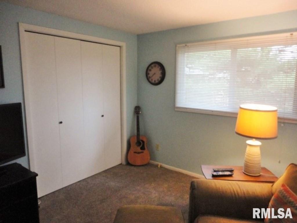 3763 Delay Road Pawnee, IL 62558 - Photo 19 of 41