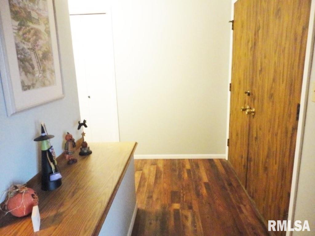 3763 Delay Road Pawnee, IL 62558 - Photo 3 of 41