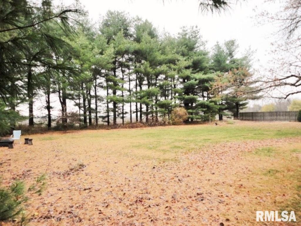 3763 Delay Road Pawnee, IL 62558 - Photo 39 of 41
