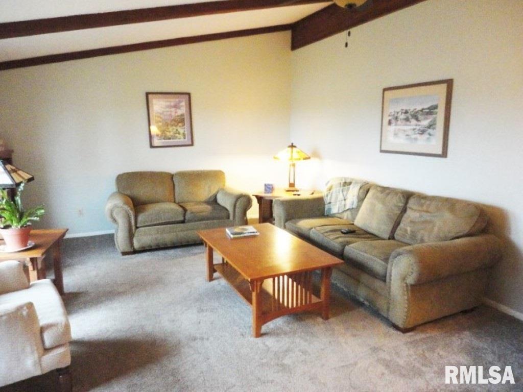 3763 Delay Road Pawnee, IL 62558 - Photo 4 of 41