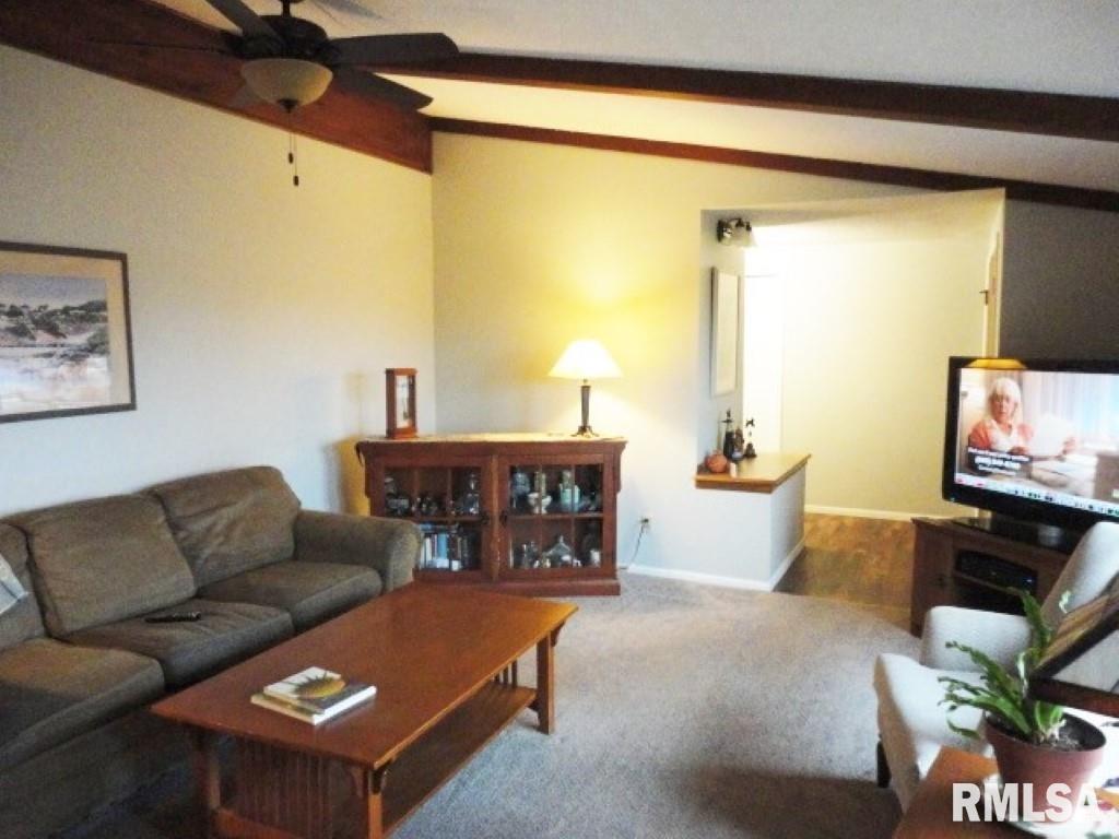 3763 Delay Road Pawnee, IL 62558 - Photo 5 of 41
