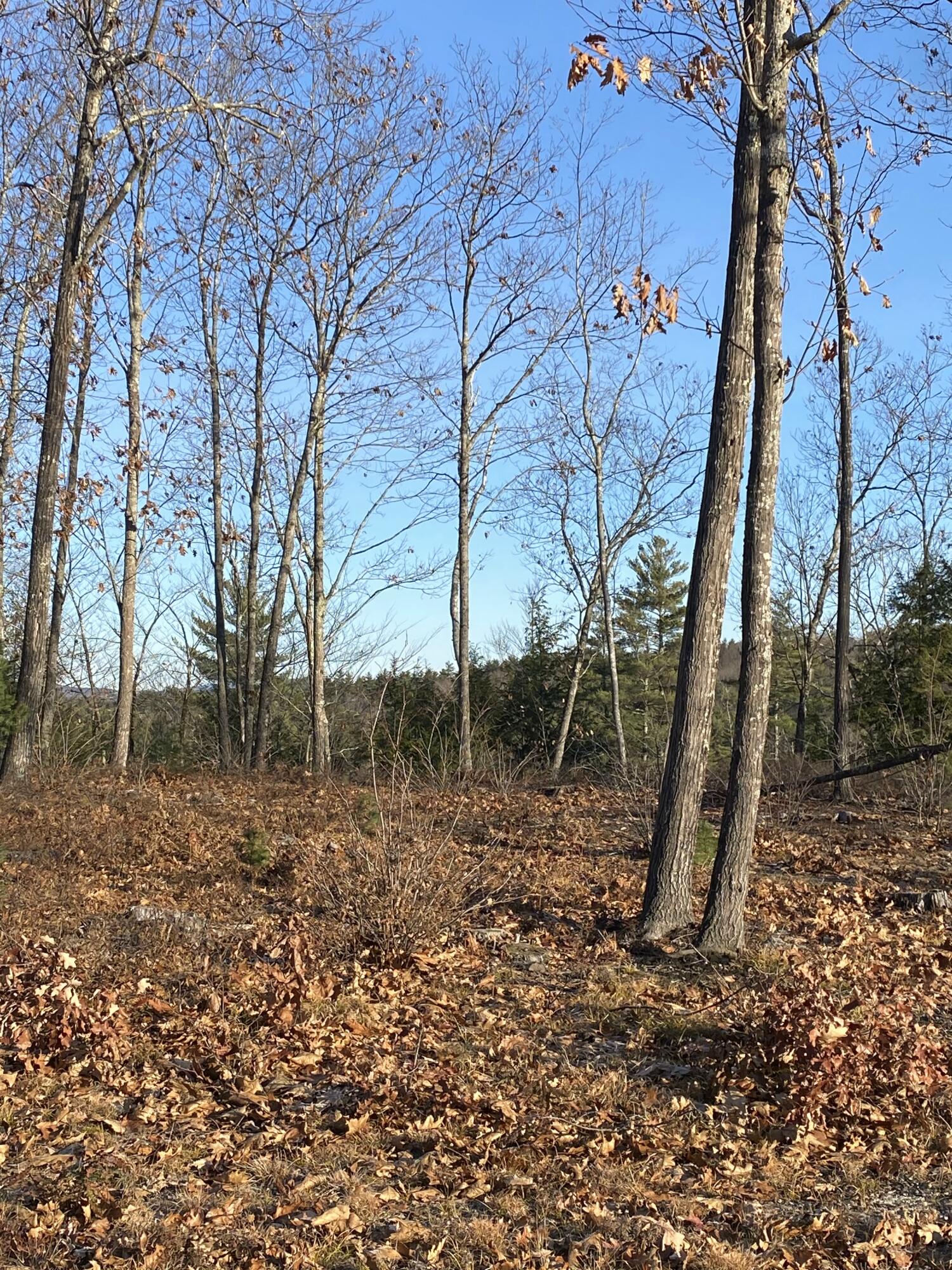2-6 Carroll Pit Road West Newfield, ME 04095 - Photo 4 of 8 IMG_3761