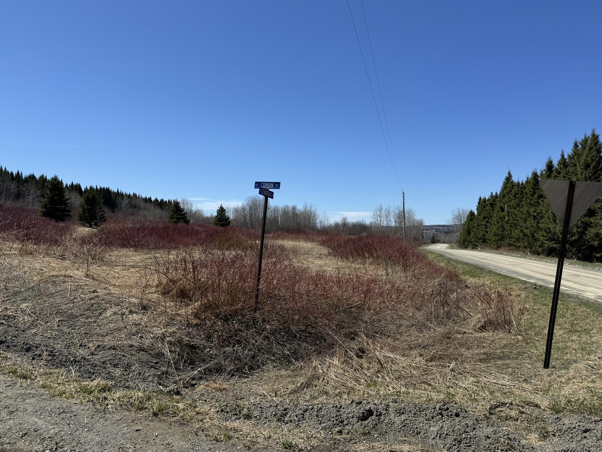 0 Desjardin Road St. David, ME 04773 - Photo 2 of 15 IMG_2271
