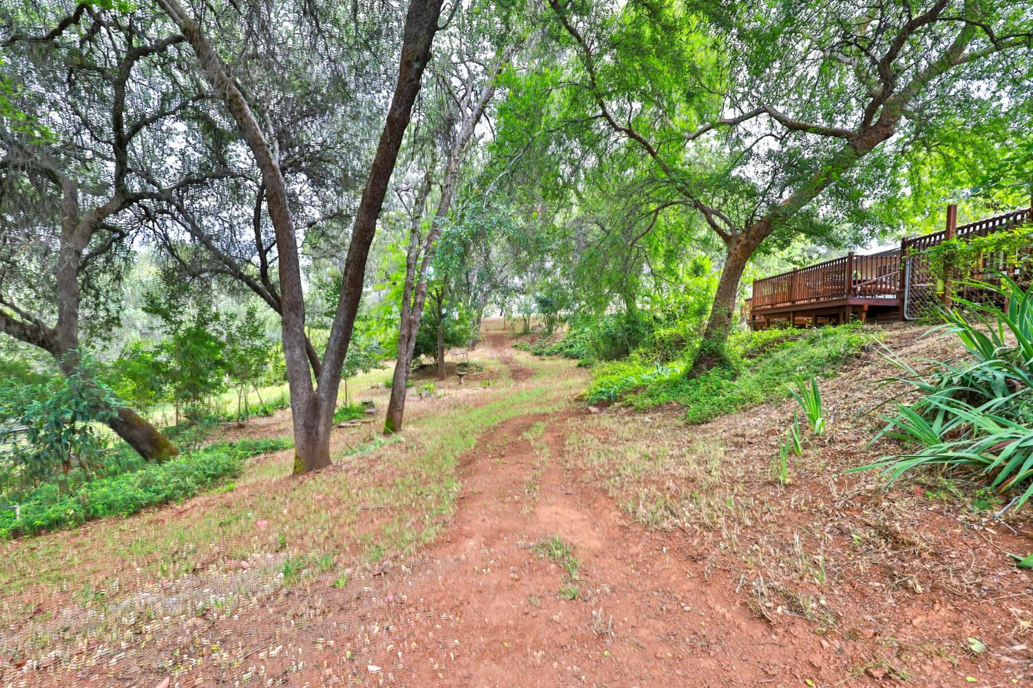 4773 Jacarah Road Placerville, CA 95667 - Photo 50 of 94