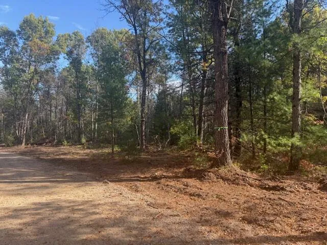 $32,900 | Parcel C West 16th Street, Baldwin, MI 49304