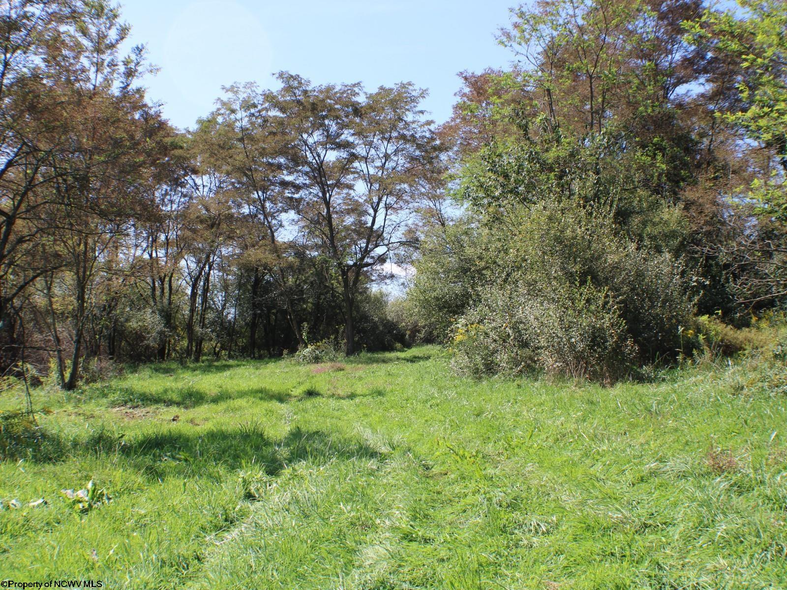 46.959-acres Beech Run Road Albright, WV 26519 - Photo 12 of 29 Gallery Image 12