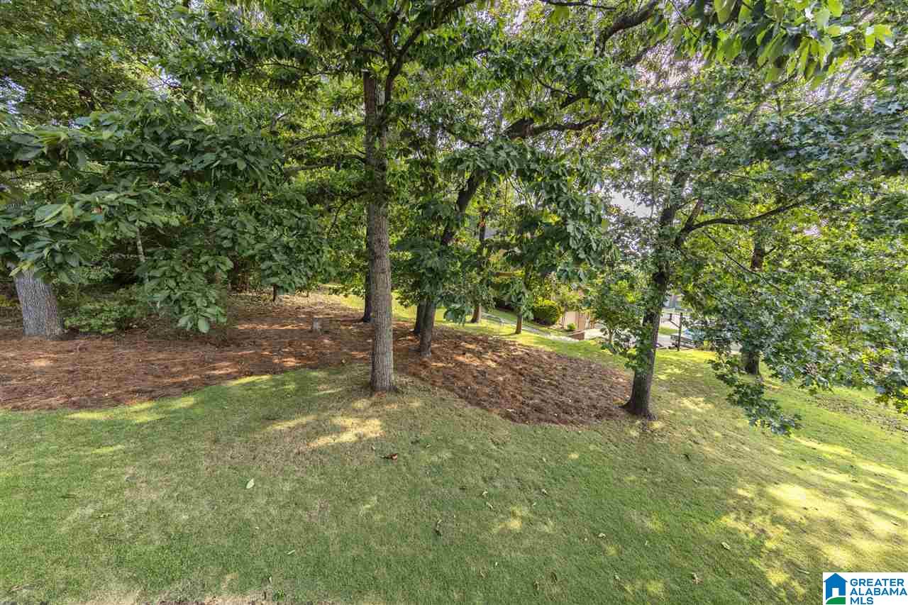 1132 Rushing Parc Drive Birmingham, AL 35244 - Photo 48 of 50 Gallery Image 48