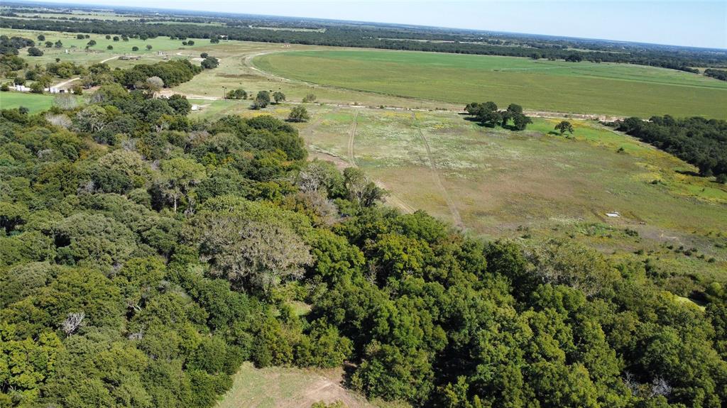 226 County Road 226 Rising Star, TX 76471 - Photo 6 of 25