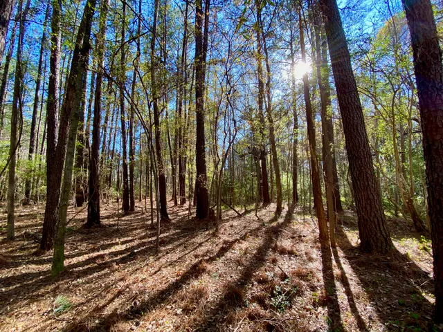 $1,500,000 | 0 South Winter Street, Moncks Corner, SC 29461