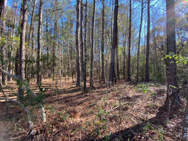 $1,500,000 | 0 South Winter Street, Moncks Corner, SC 29461