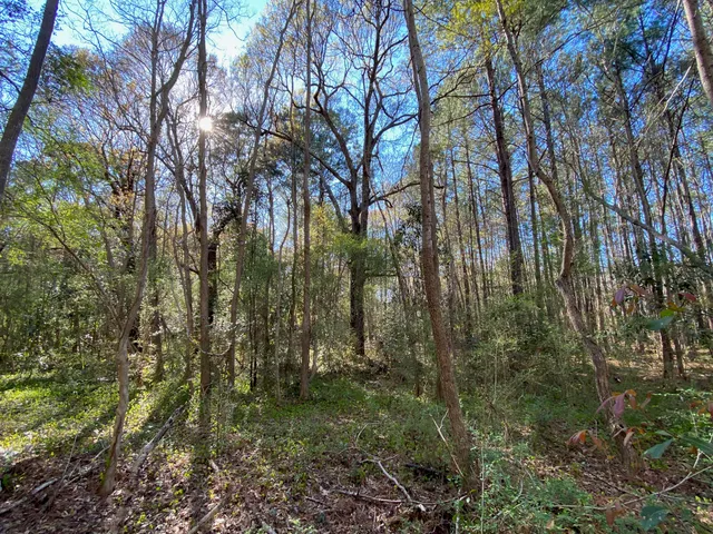 $1,500,000 | 0 South Winter Street, Moncks Corner, SC 29461