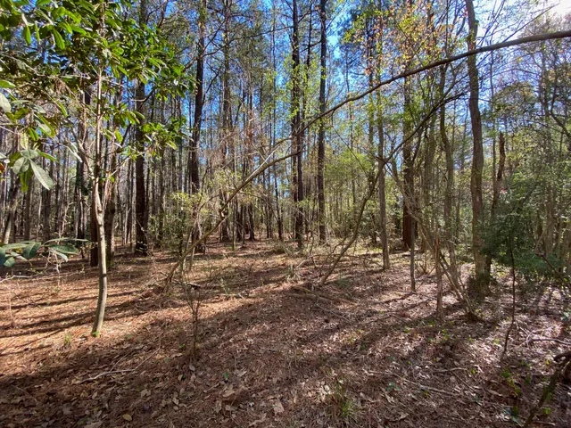 $1,500,000 | 0 South Winter Street, Moncks Corner, SC 29461