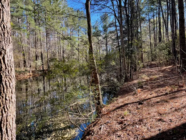 $1,500,000 | 0 South Winter Street, Moncks Corner, SC 29461