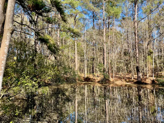 $1,500,000 | 0 South Winter Street, Moncks Corner, SC 29461