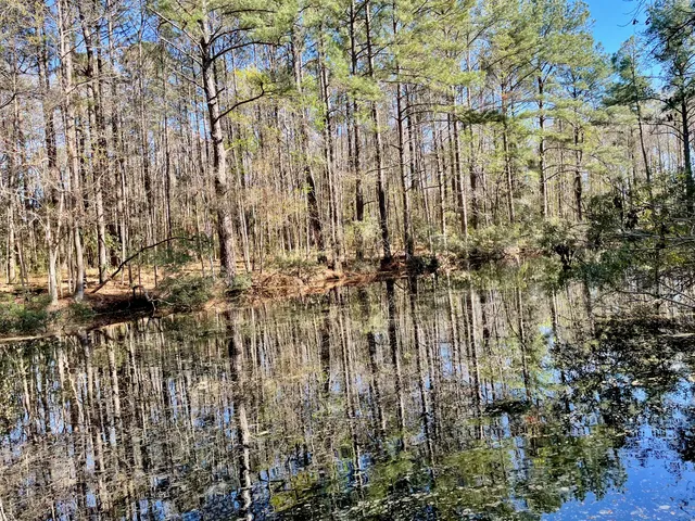 $1,500,000 | 0 South Winter Street, Moncks Corner, SC 29461