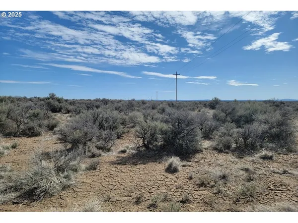 a view of a dry field with mountain view