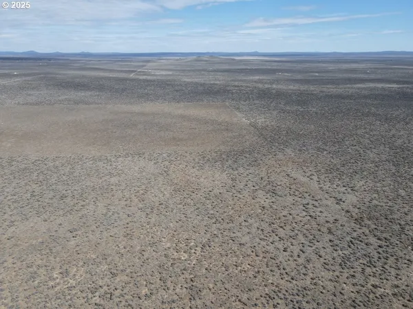 a view of a dry yard