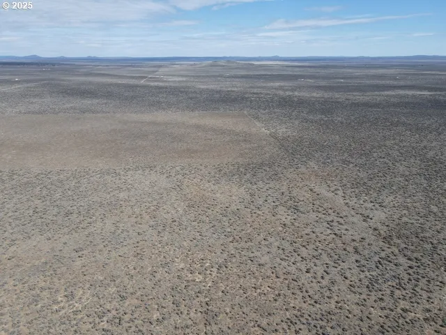 a view of a dry yard