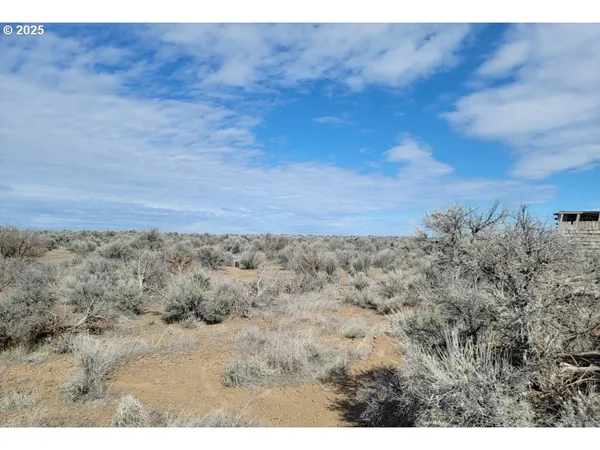 a view of a dry field