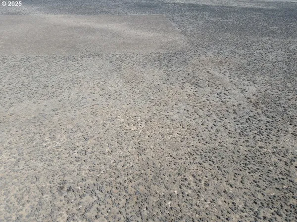 a view of a dry yard