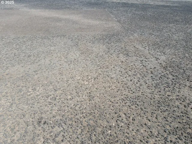 a view of a dry yard