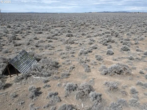 a view of a dry yard