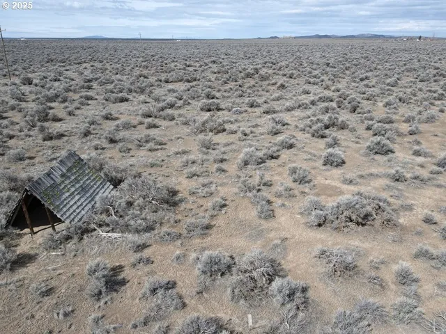a view of a dry yard