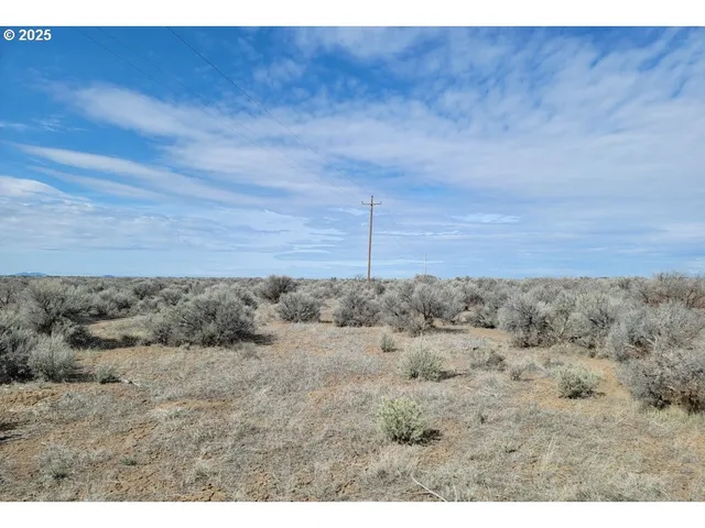 a view of a dry yard with wooden floor and fence