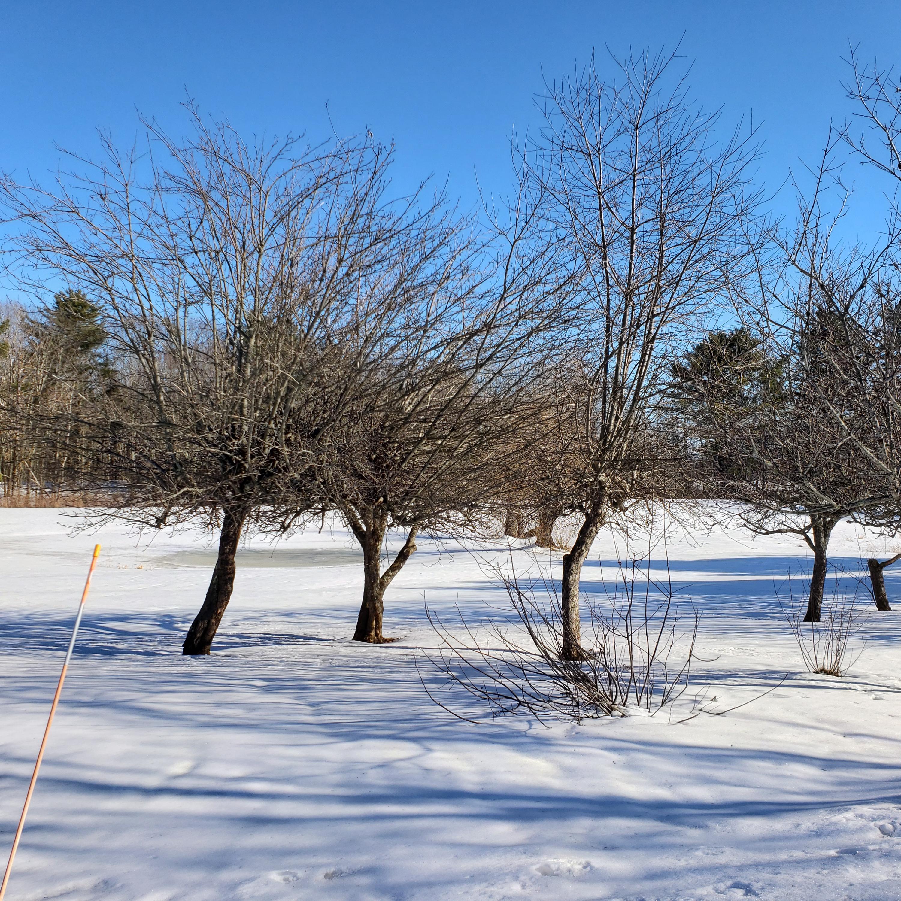 1331 Old Rte One Waldoboro, ME 04572 - Photo 36 of 37 20190301_144735