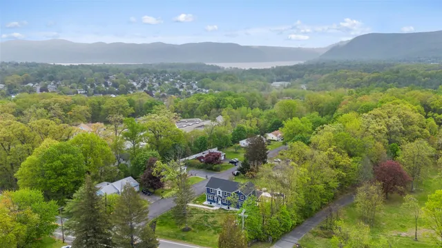 a view of a lush green field with lots of bushes