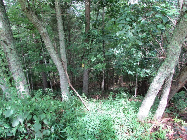 3624 Evergreen Road Fraziers Bottom, WV 25082 - Photo 9 of 14 Gallery Image 9