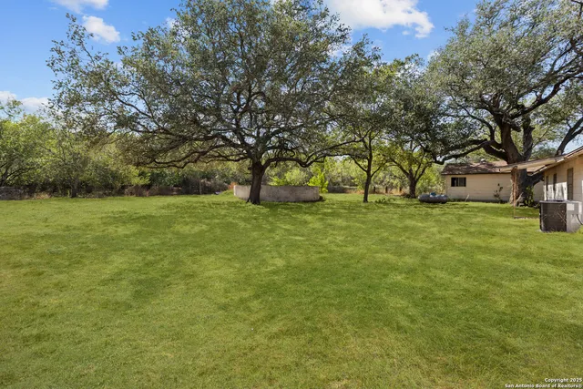 a view of a field with tree in the background