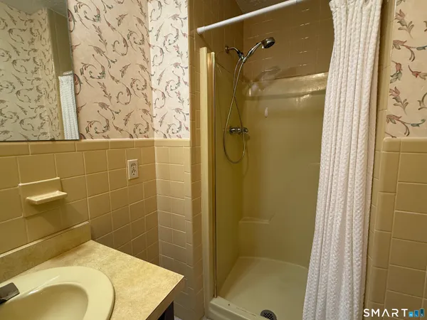 a bathroom with a sink and a shower