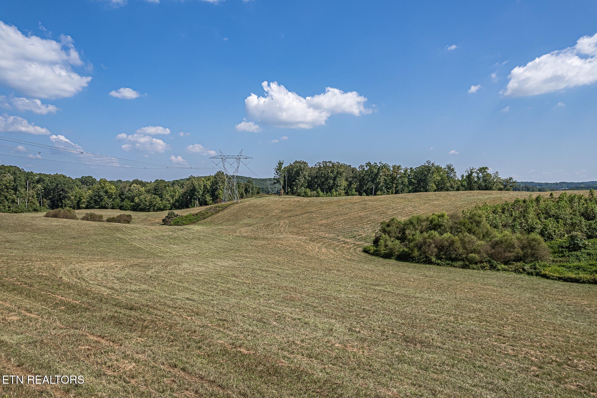 0 Possum Trot Road Philadelphia, TN 37846 - Photo 6 of 8 Gallery Image 6