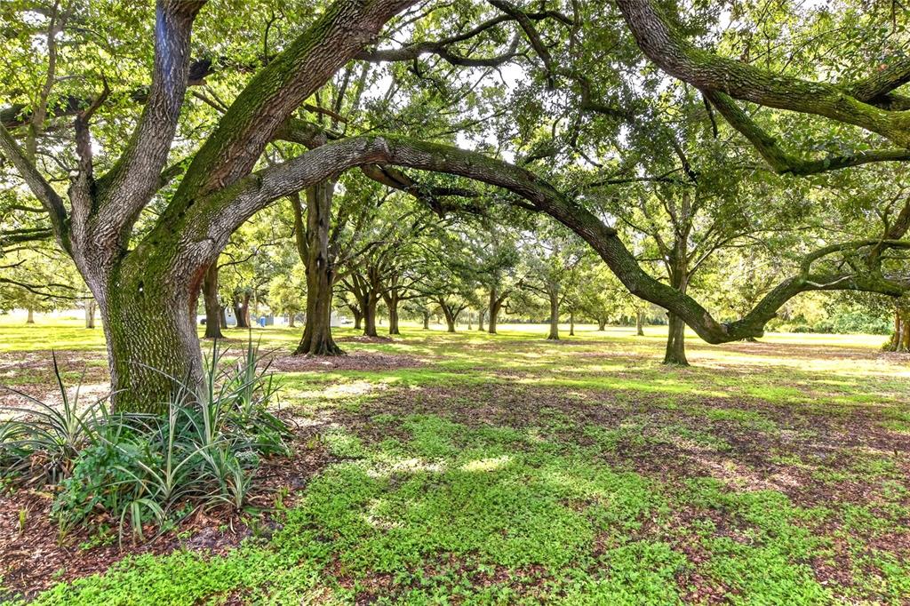 4401 Chambliss Road Winter Haven, FL 33884 - Photo 7 of 32 Gallery Image 7