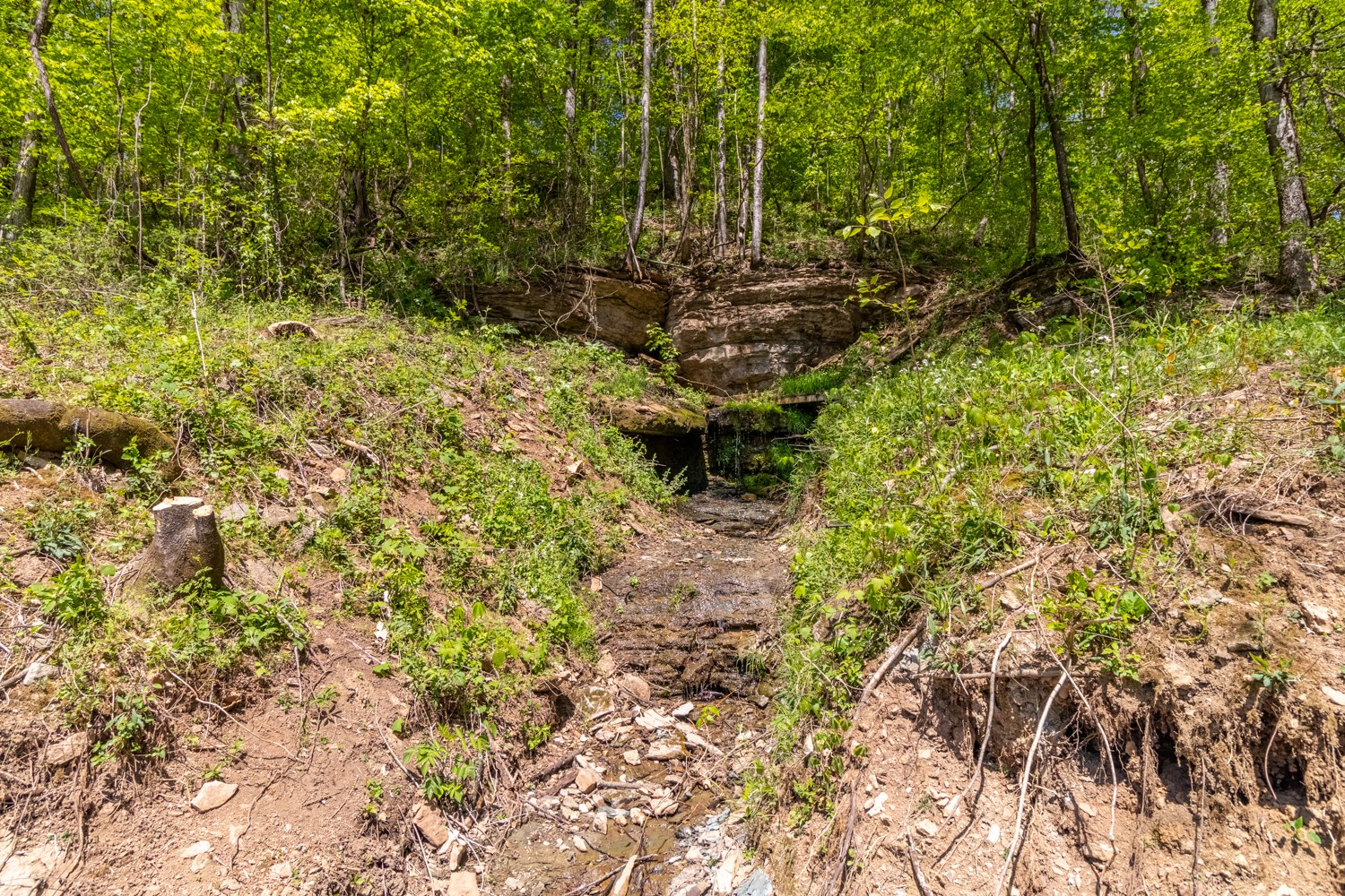 1236 Bunker Hill Road Pulaski, TN 38478 - Photo 53 of 68 Gallery Image 53