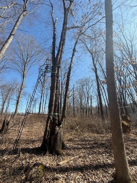 0 Riegel Road Spring Arbor, MI 49283 - Photo 3 of 22 image0 (2)
