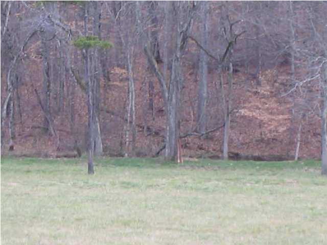 21 Gabrielle Road Strawberry Plains, TN 37871 - Photo 1 of 2 Primary Photo
