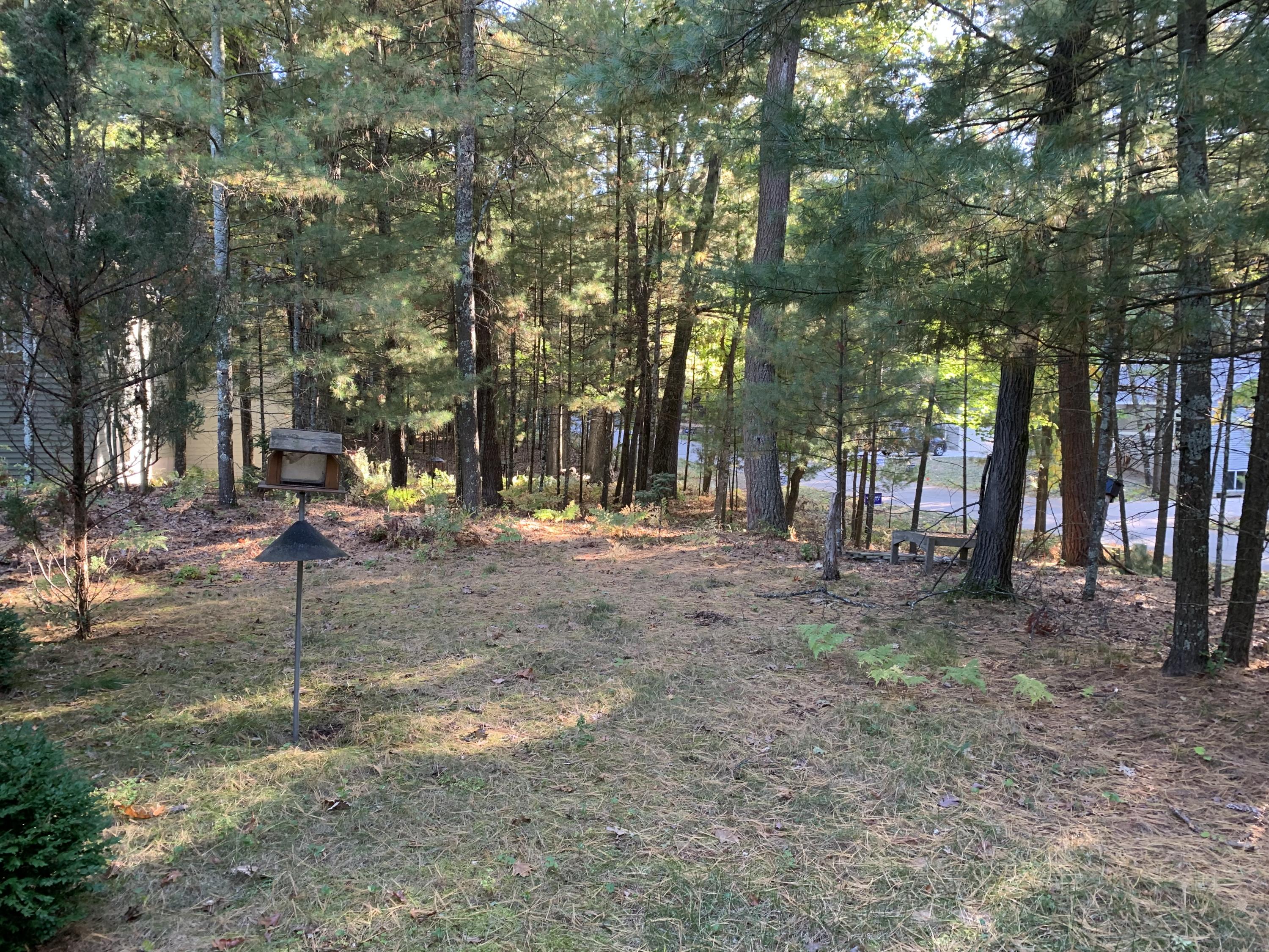 6356 Cheyenne Road Pentwater, MI 49449 - Photo 33 of 42 IMG_0326