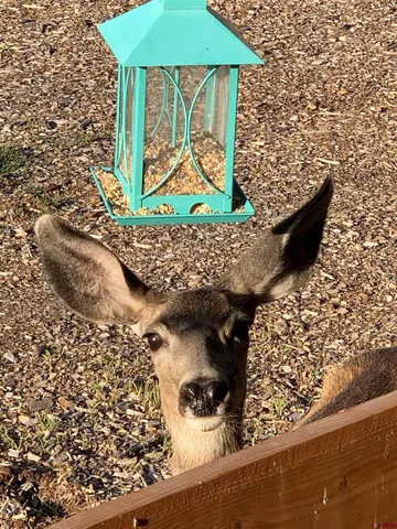 $759,000 | 1 Cobblestone Lane, Pagosa Springs, CO 81147