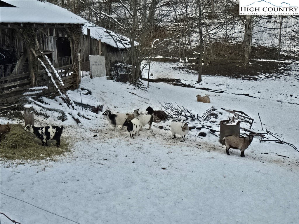 325 Sawyers Road Warrensville, NC 28693 - Photo 33 of 36