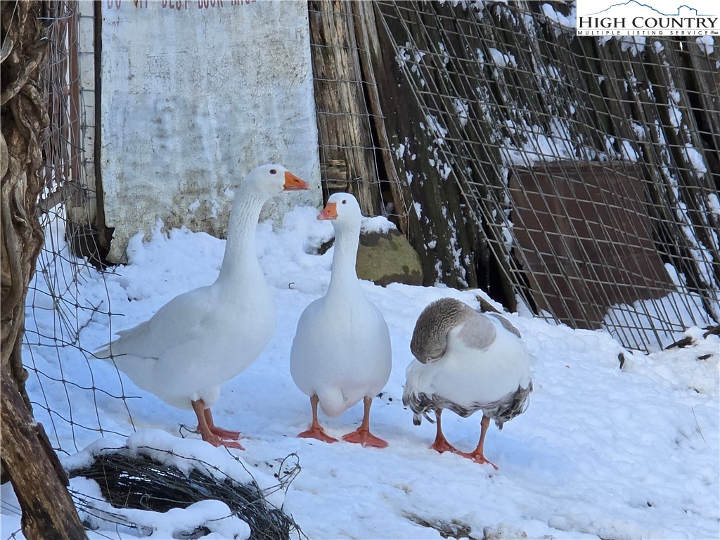 325 Sawyers Road Warrensville, NC 28693 - Photo 35 of 36